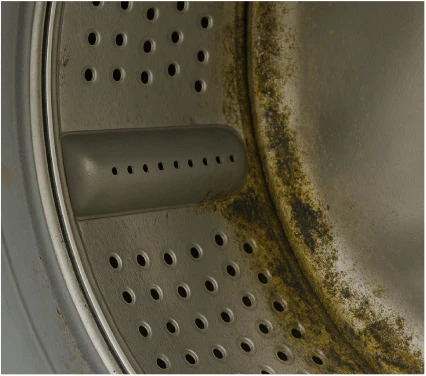 Washing machine drum with visible mold and mildew buildup before Fizzi Fred cleaning tablet