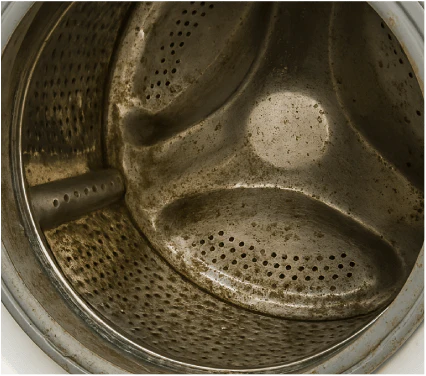 Dirt and grime buildup inside washing machine drum before enzyme cleaning