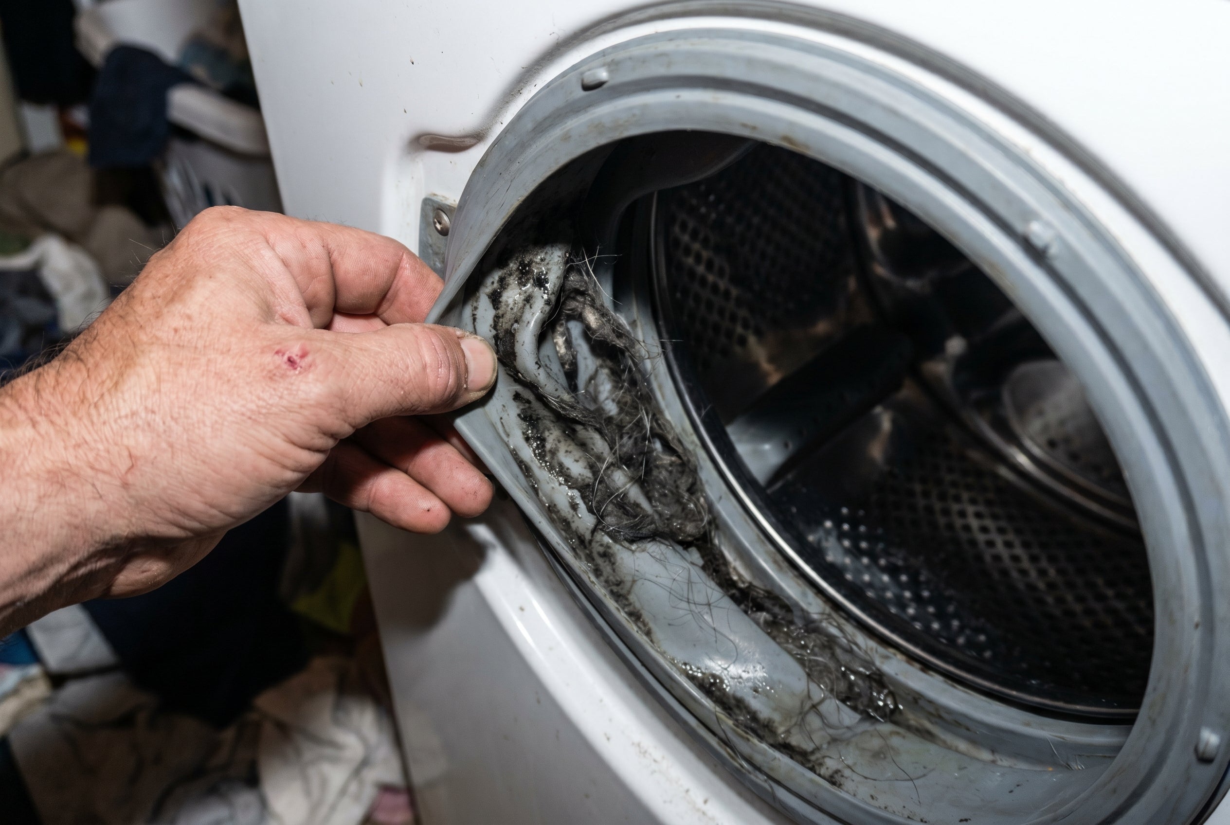 Un joint de porte de laveuse plein de biofilm noir et visqueux avant FizziFred